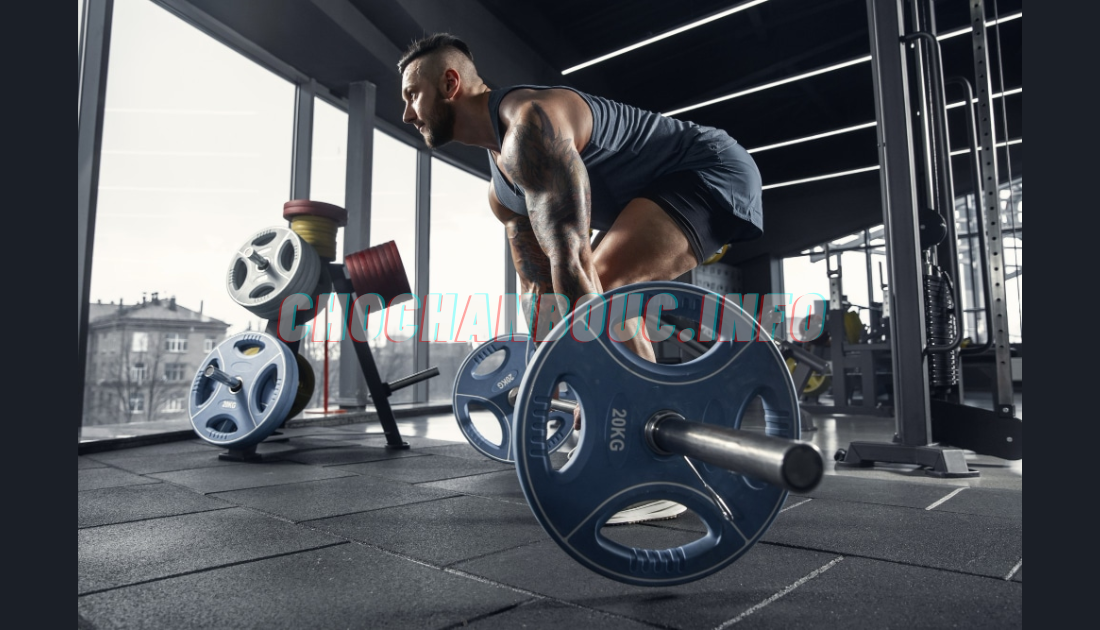 Olympic Barbells: The Ultimate Tool for Strength Training Success