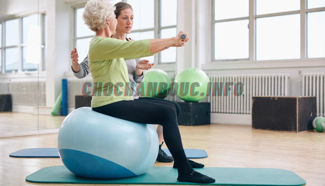 Unlocking the Benefits of Exercise Stability Balls for a Stronger Core and Better Balance